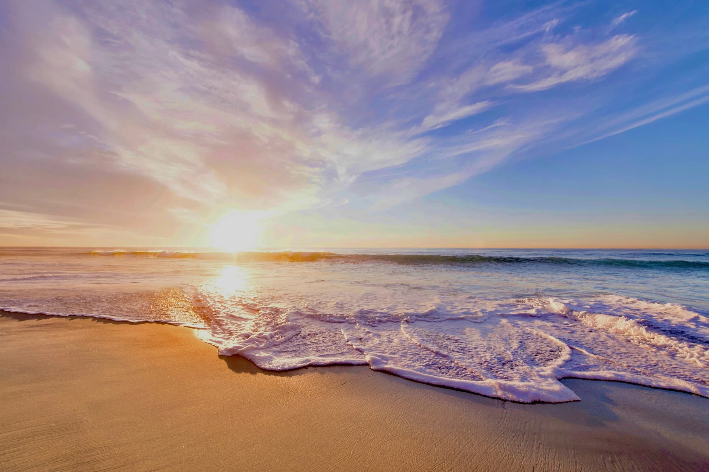 Programme de bien-etre au travail pour les collaborateurs